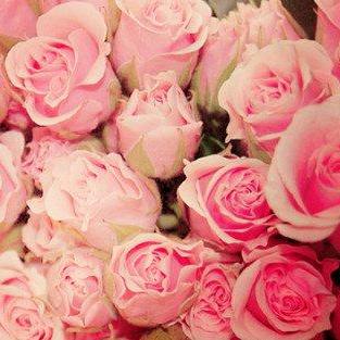🌸ing🌸