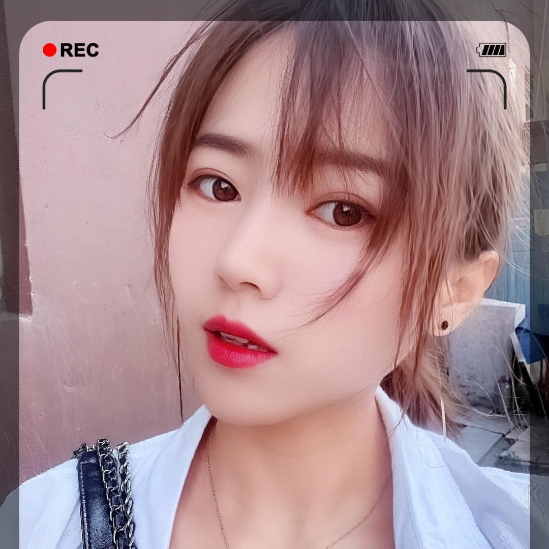 铁东区萌多多宠物馆
