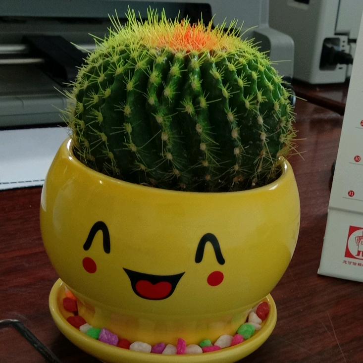 幸福每秒