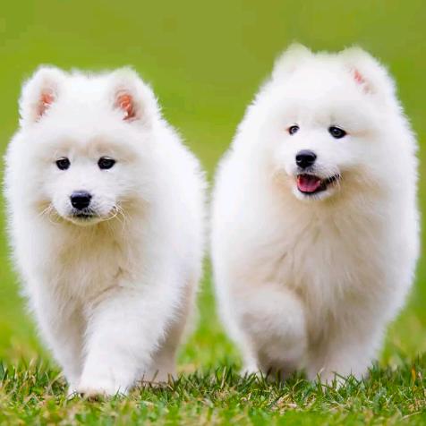 一杯烈酒꧂༊⸎♥ྀ❥