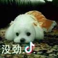 乄 夵