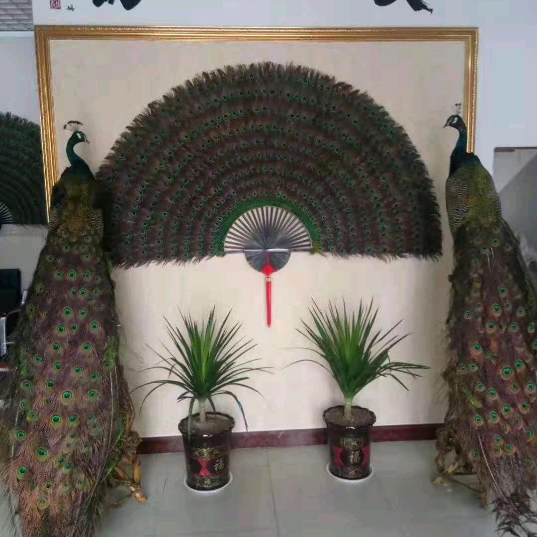 山东七妹