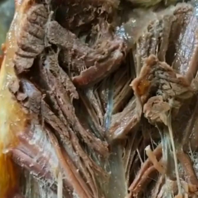 牛归牛牛肉粉丝汤