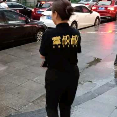 刘登智