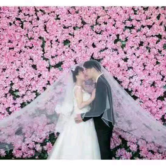 ℳঞ杨 ❧⁵²⁰