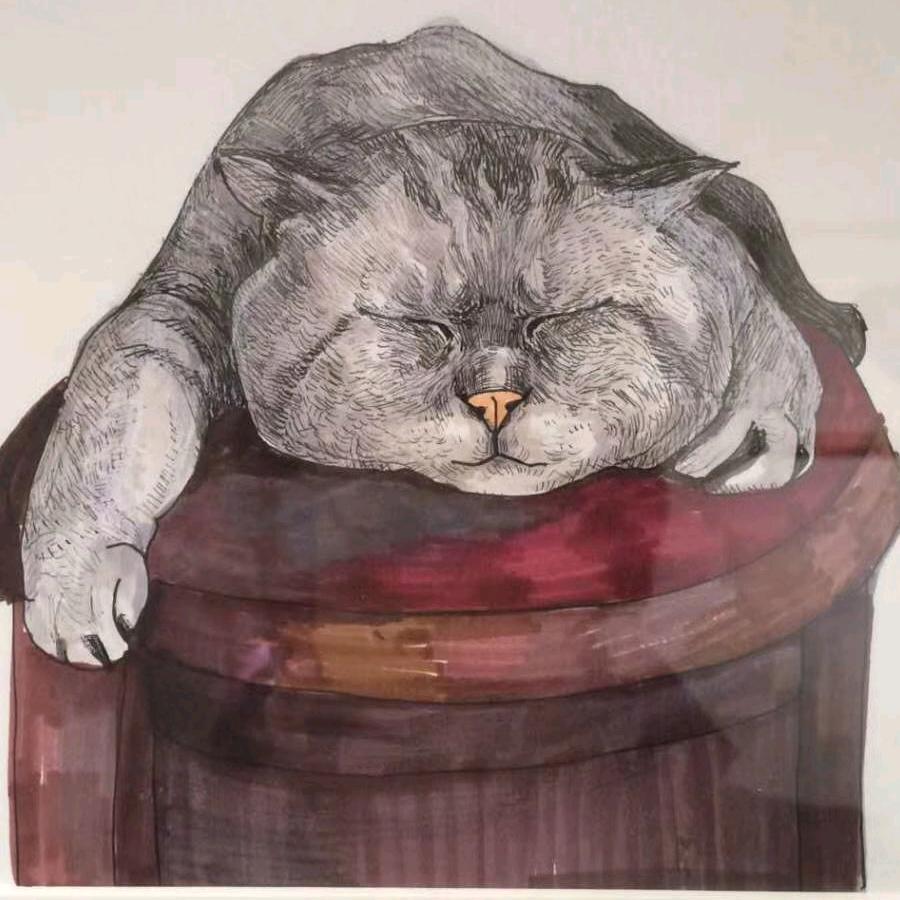 廊坊猫世界商贸有限公司