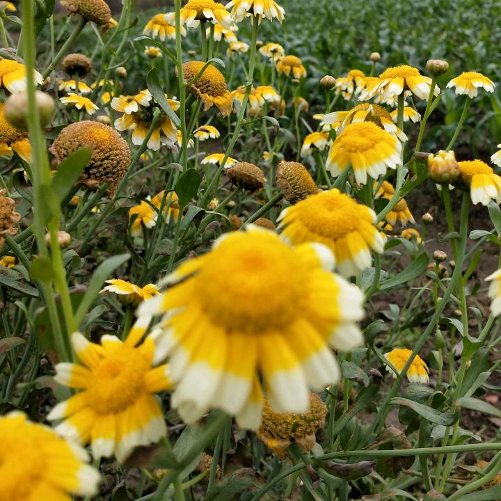 🌈💨芸芸人生