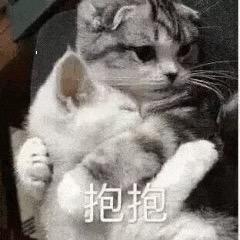 木木跑刀