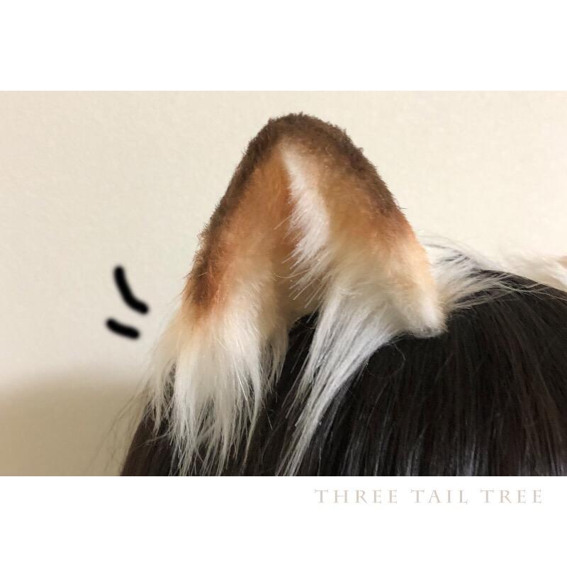 #喵᳐儿̂੭ﾞ