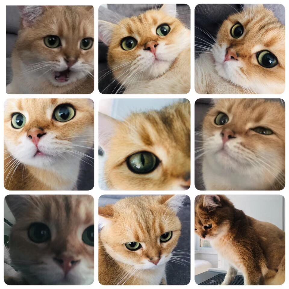 中發白