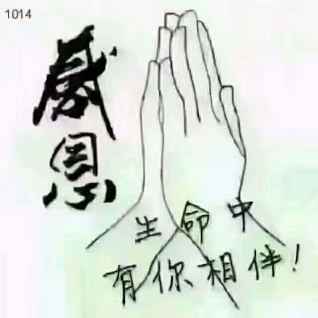 励志浩哥