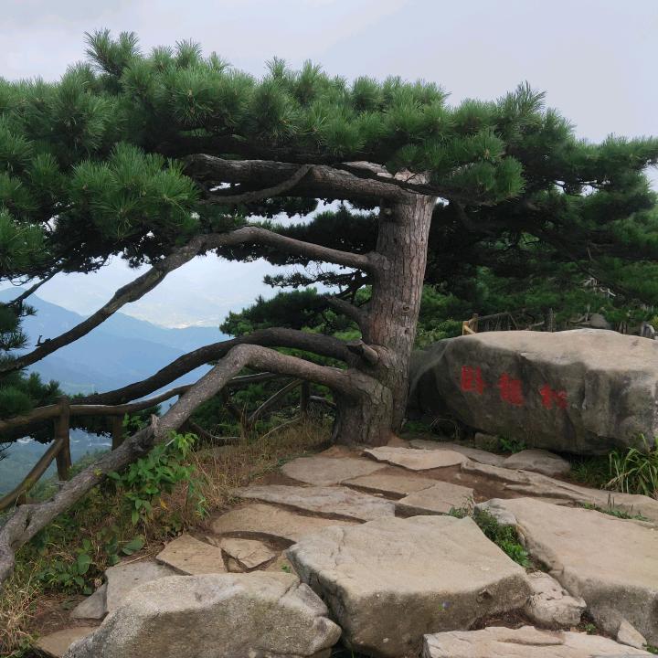 双十三