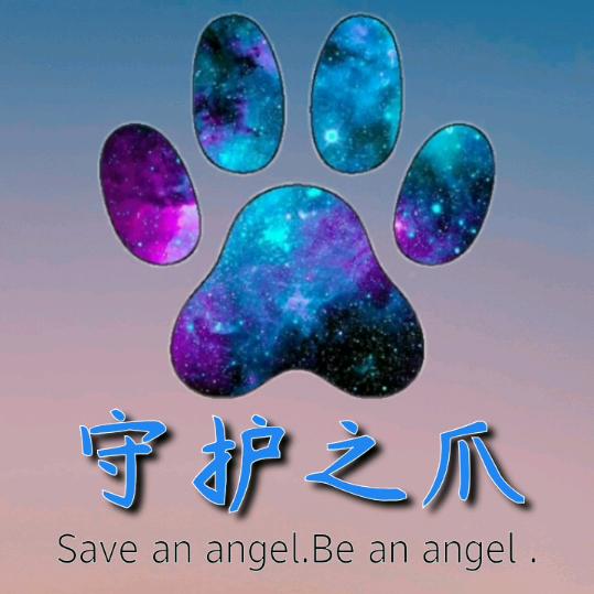 守护之爪