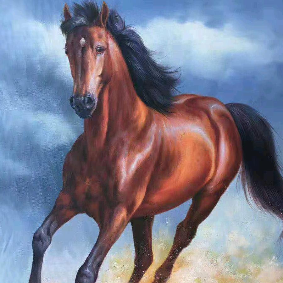 3093608830368本地人