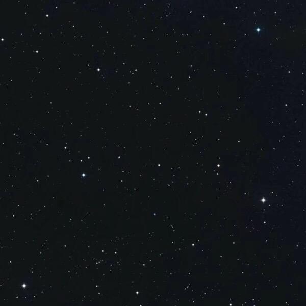 小动物的饲养员