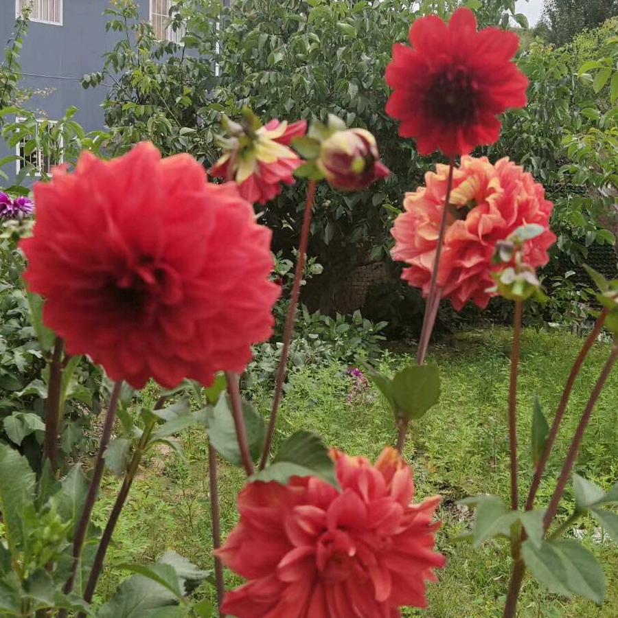 🌷💐