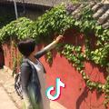 觅砂（央吉卓玛）