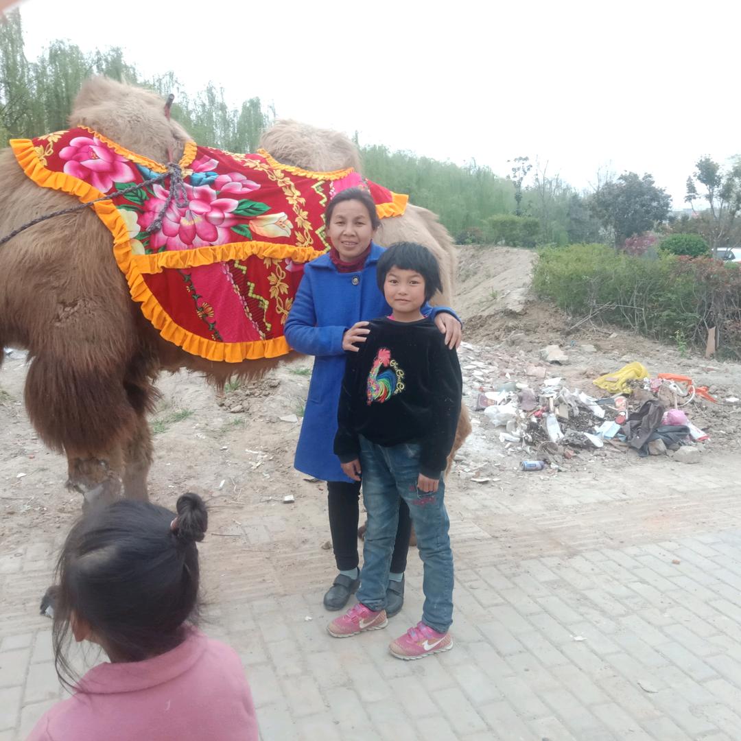 谢影不为自己活为s而活