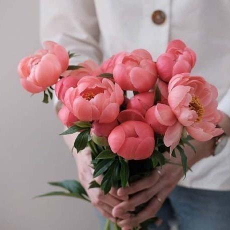 暖暖💗