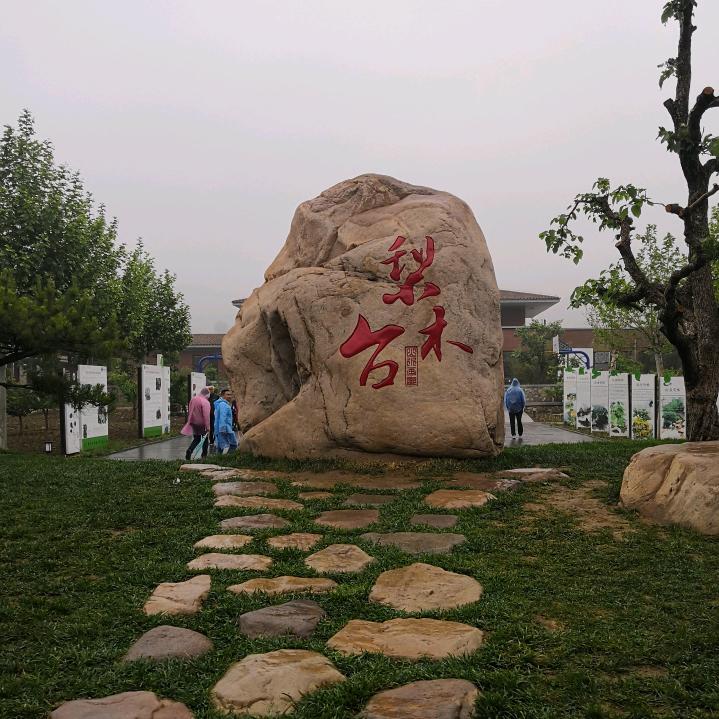 本地的鱼
