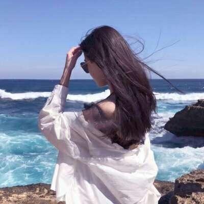 A燕子