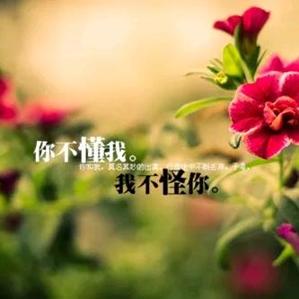 白玉豆🍒
