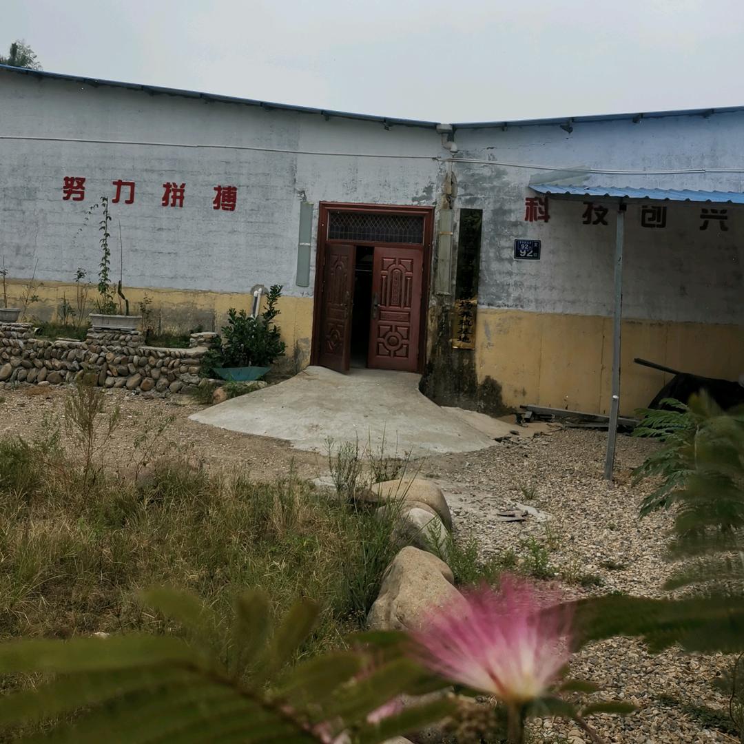 鑫诚渔业斑鳜出售批发