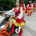 凤凰飞