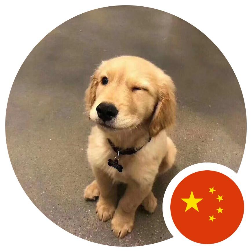 是大橘呀
