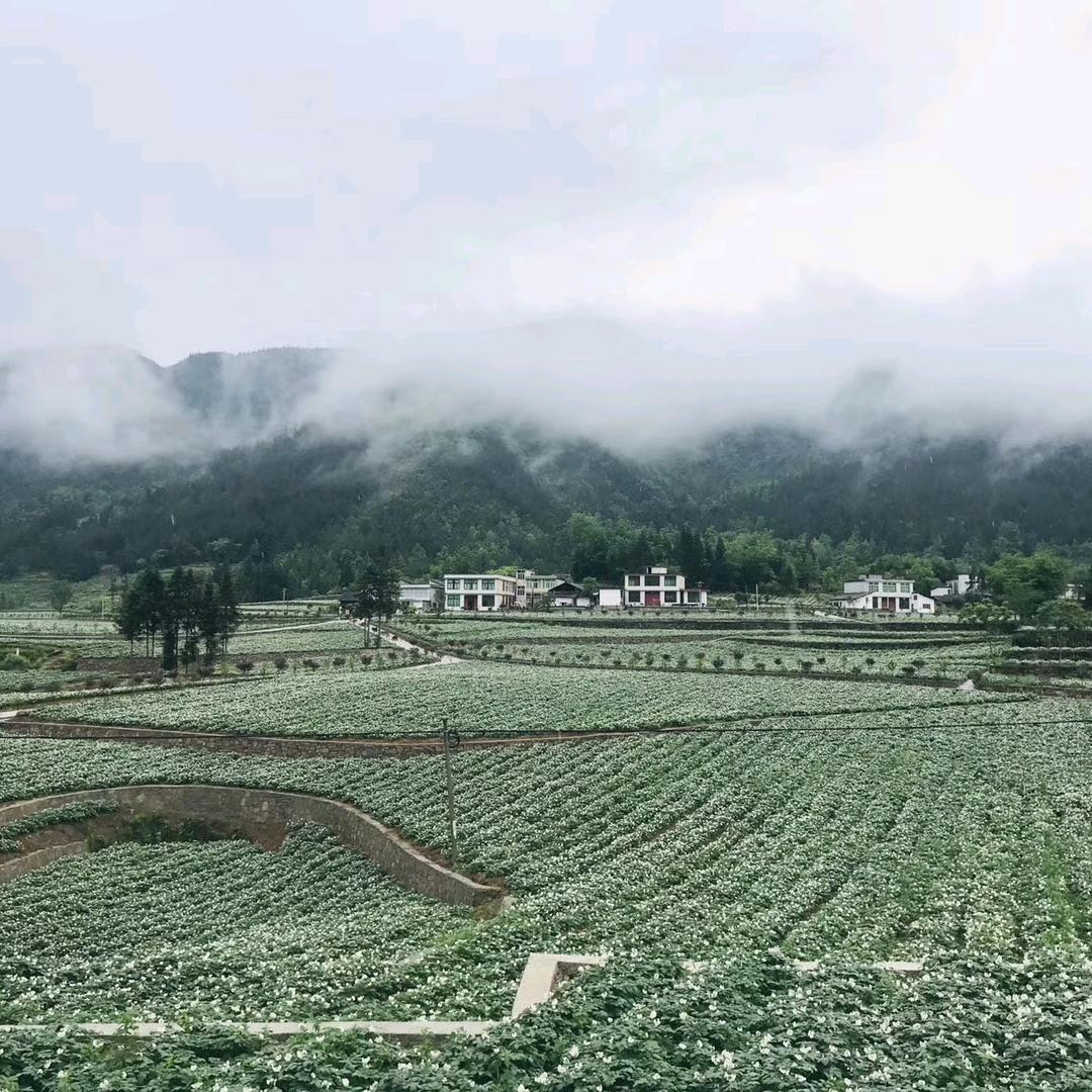 恩施利川