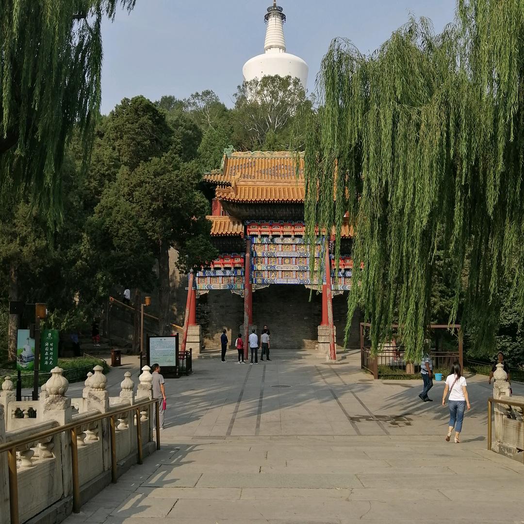 孤独在线