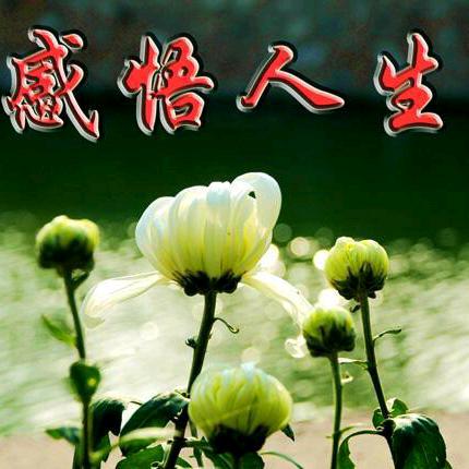 感悟人生。