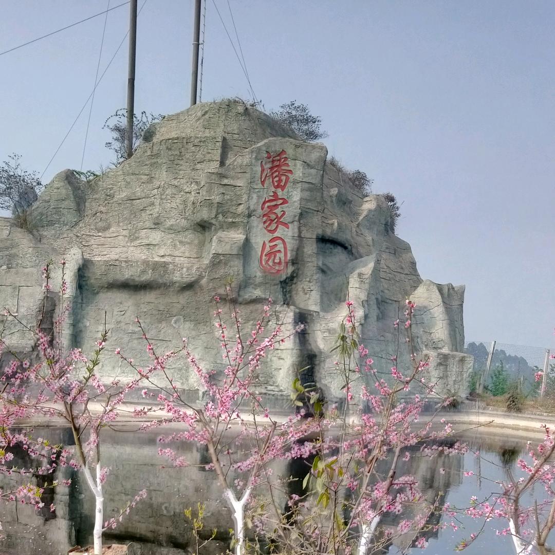 枝$