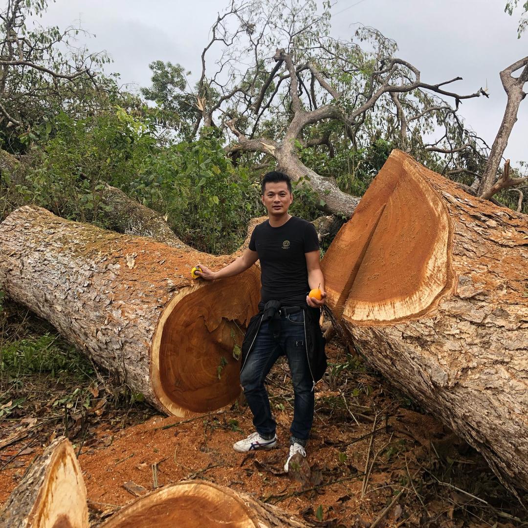 中冠盛达国际贸易有限公司