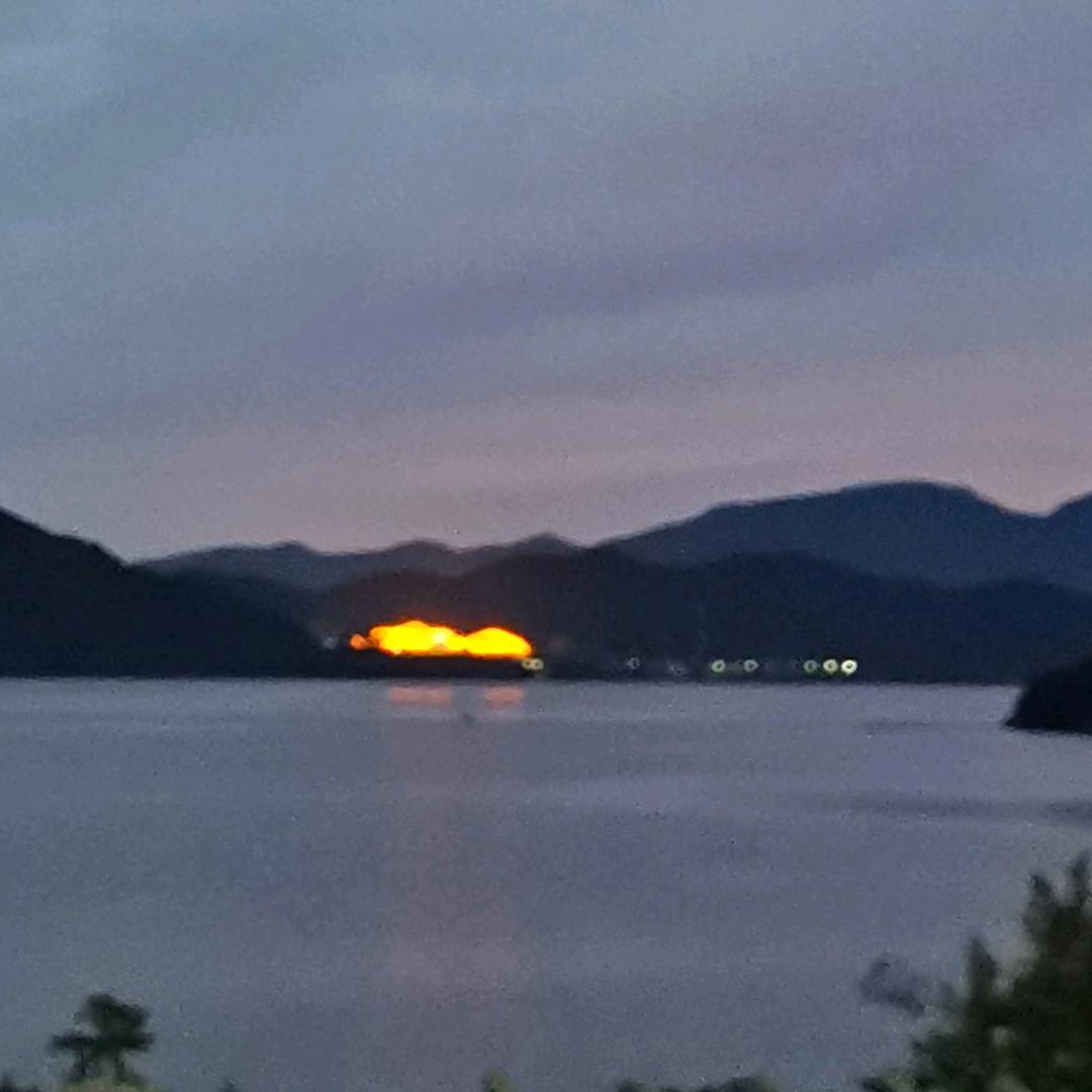 逝去的青春 🪁