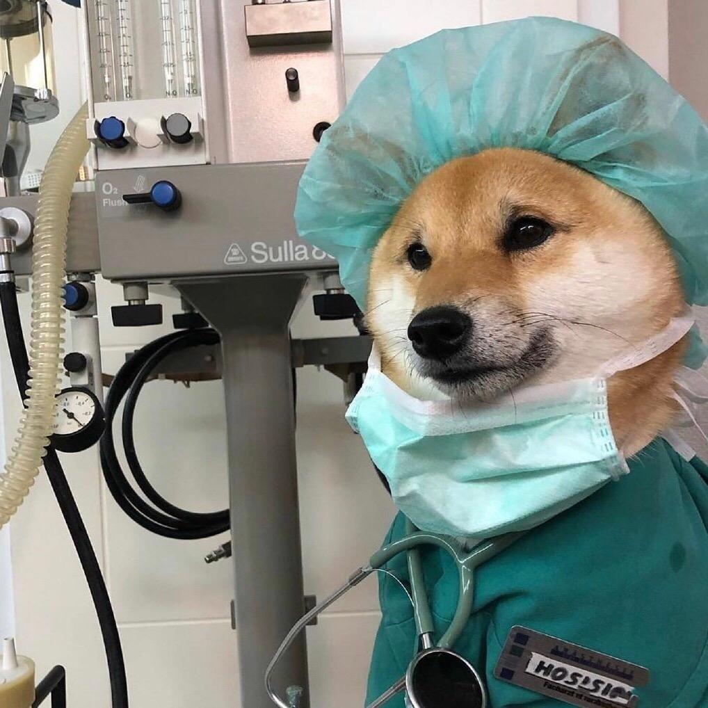 嘿嘿嘿OK