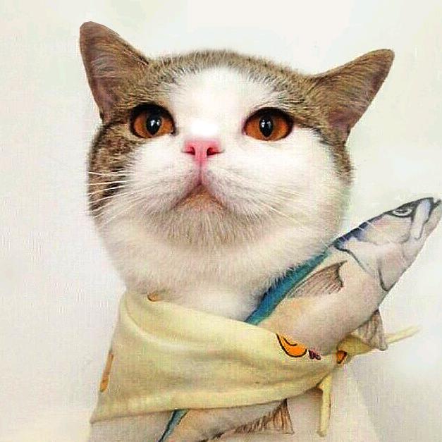 吴银英