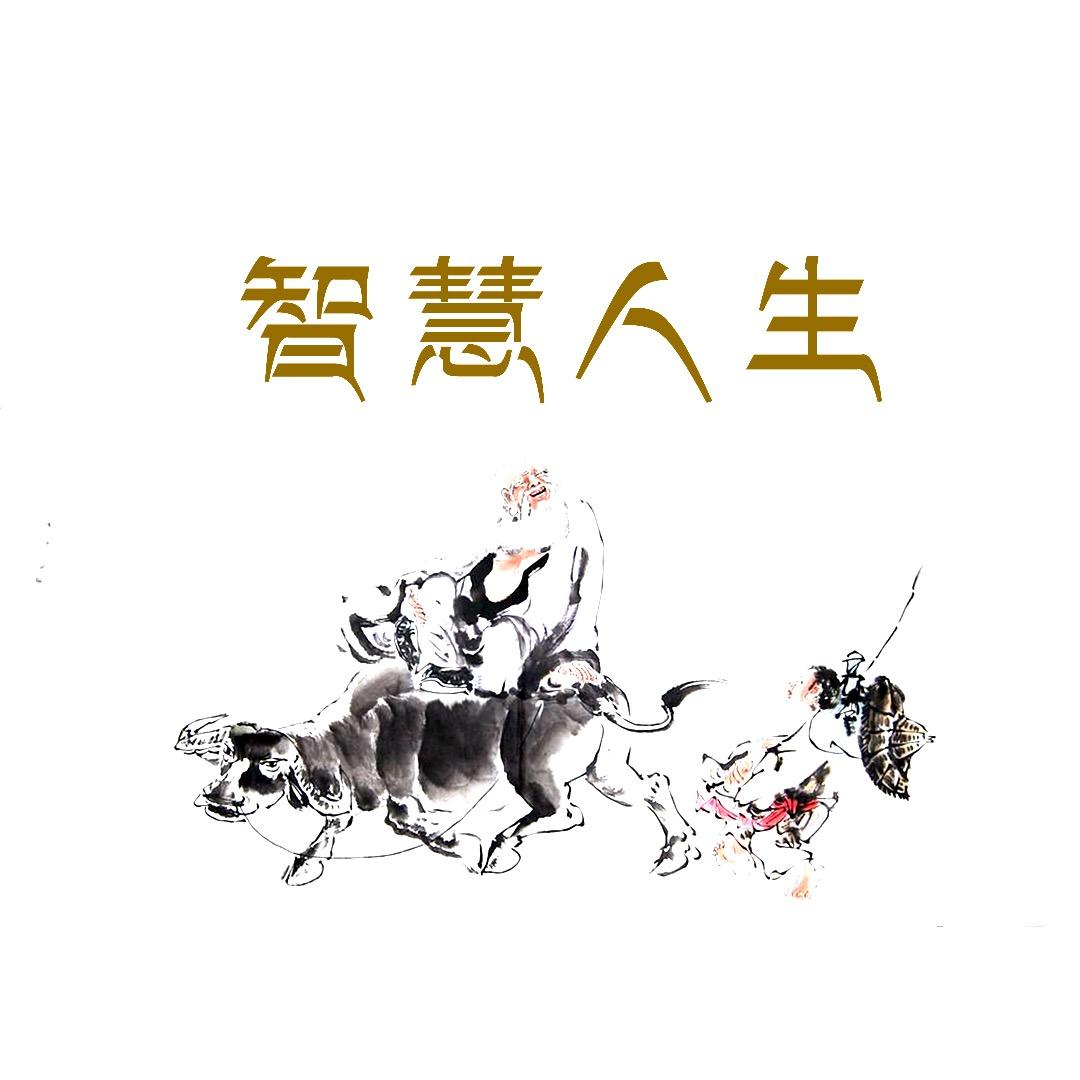 智慧人生@抖音