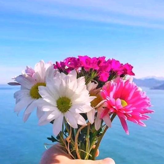 🍀🌾我是杨三姐💃💃🌺🌺🌺