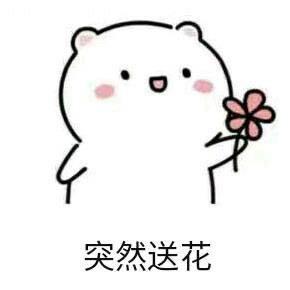 延长宸月