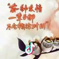 青菜白玉汤