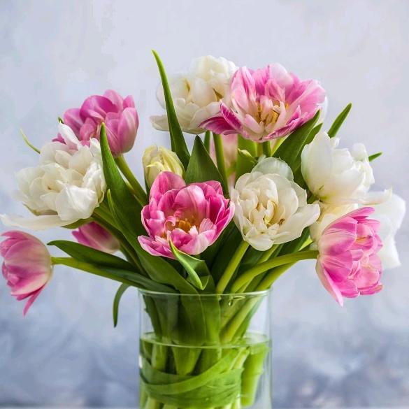 秋天的花🌸开满山