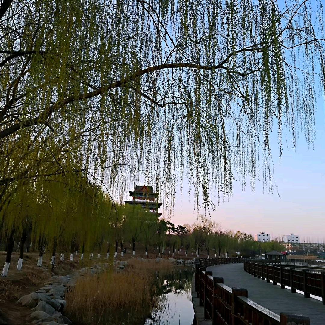 水墨丹青