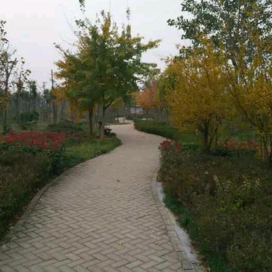 萧县渝香馆@陈德云