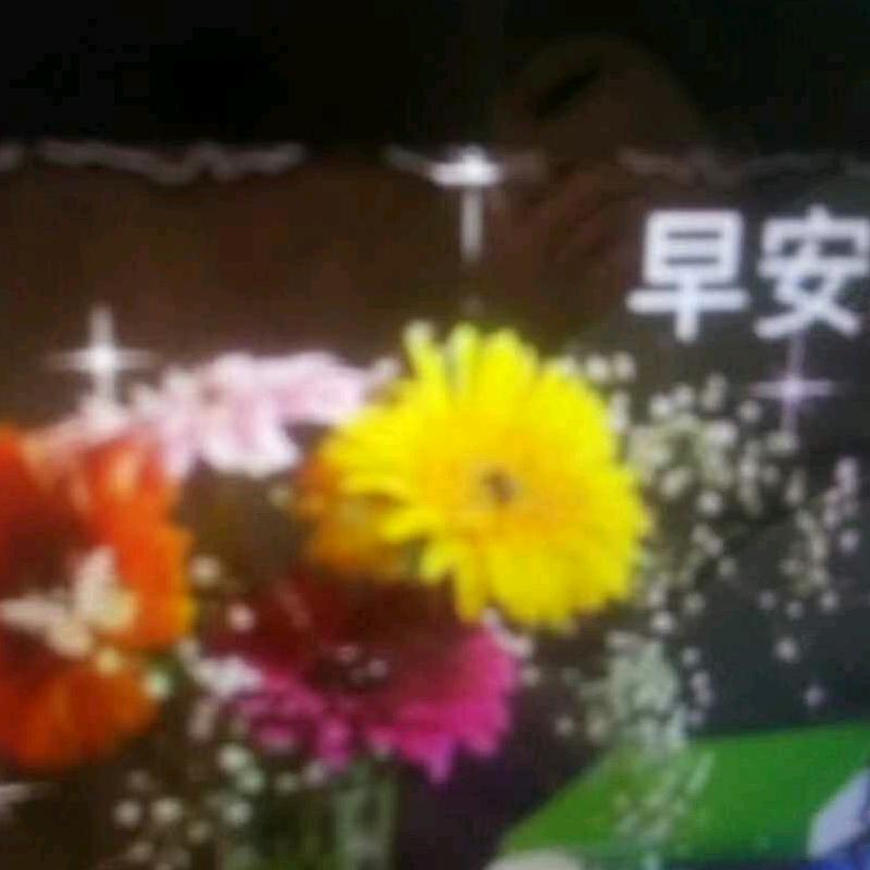 平安就是福