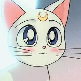 小梅子．．