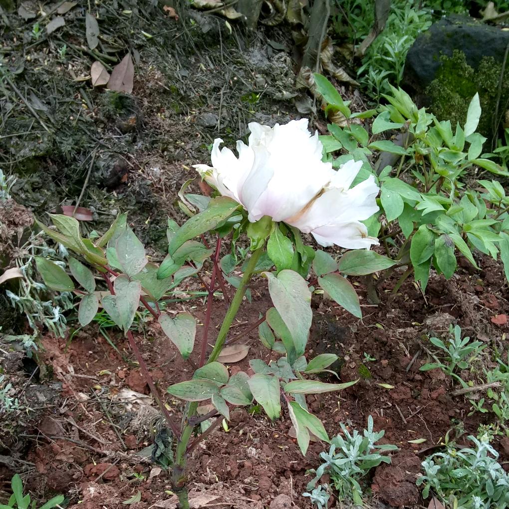 余生很贵，请别浪费