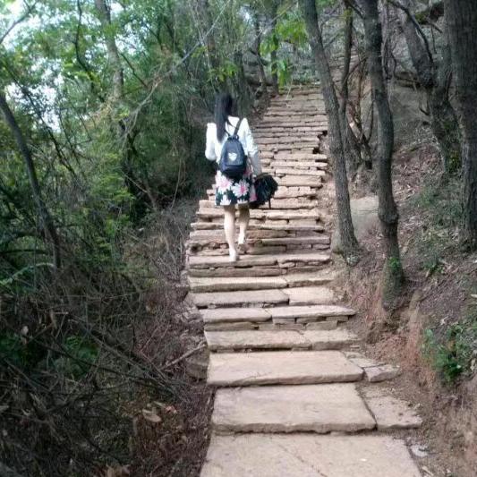 雾里看花
