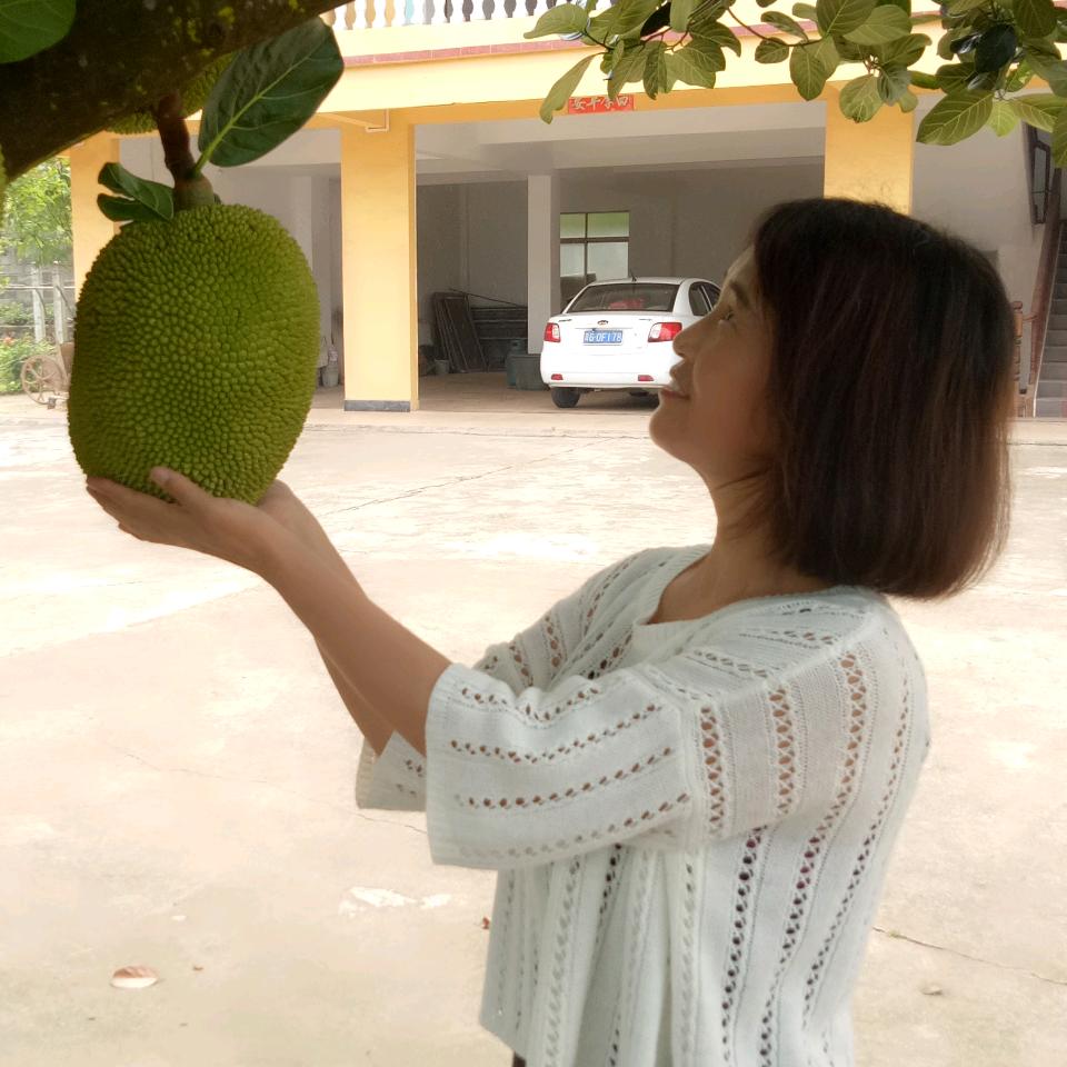 雅鑫