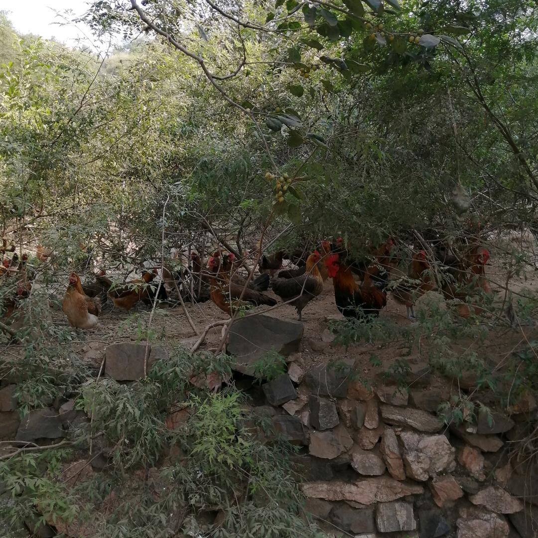 唐县书亮农副综合店